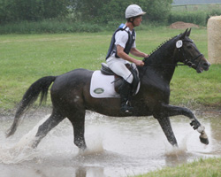 Dieser Ritt im Juni erfolgte im Regen, jetzt hofft Andreas Brandt in Valluhn mit Carlo B im Trockenen reiten zu können. Foto: Wego Dieser Ritt im Juni erfolgte im Regen, jetzt hofft Andreas Brandt in Valluhn mit Carlo B im Trockenen reiten zu können. Foto: Wego